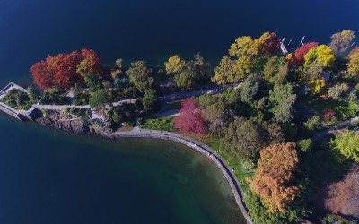 1510-Isole-di-Brissago-04