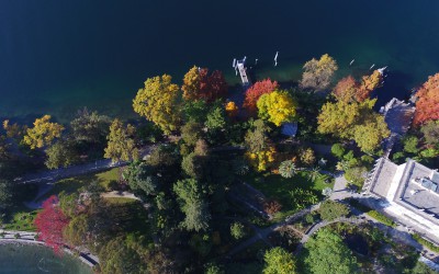 1510-Isole-di-Brissago-07