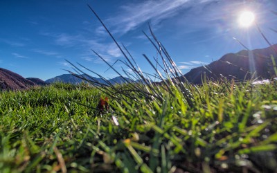 1510-Monti-della-Gana-0542HDR