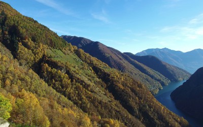 1510-Monti-della-Gana-frame