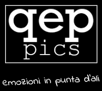 qep.pics